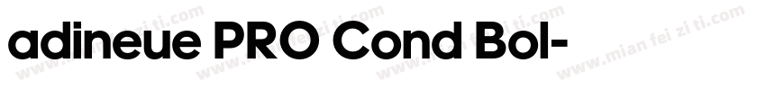 adineue PRO Cond Bol字体转换